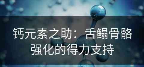 钙元素之助：舌鳎骨骼强化的得力支持